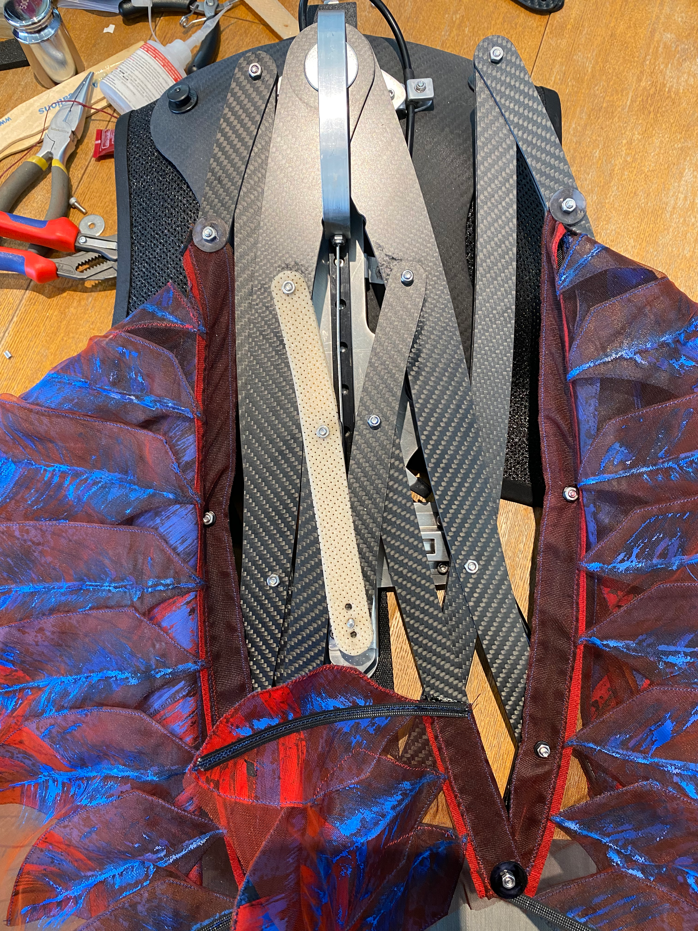 Wicked — Chistery Wings