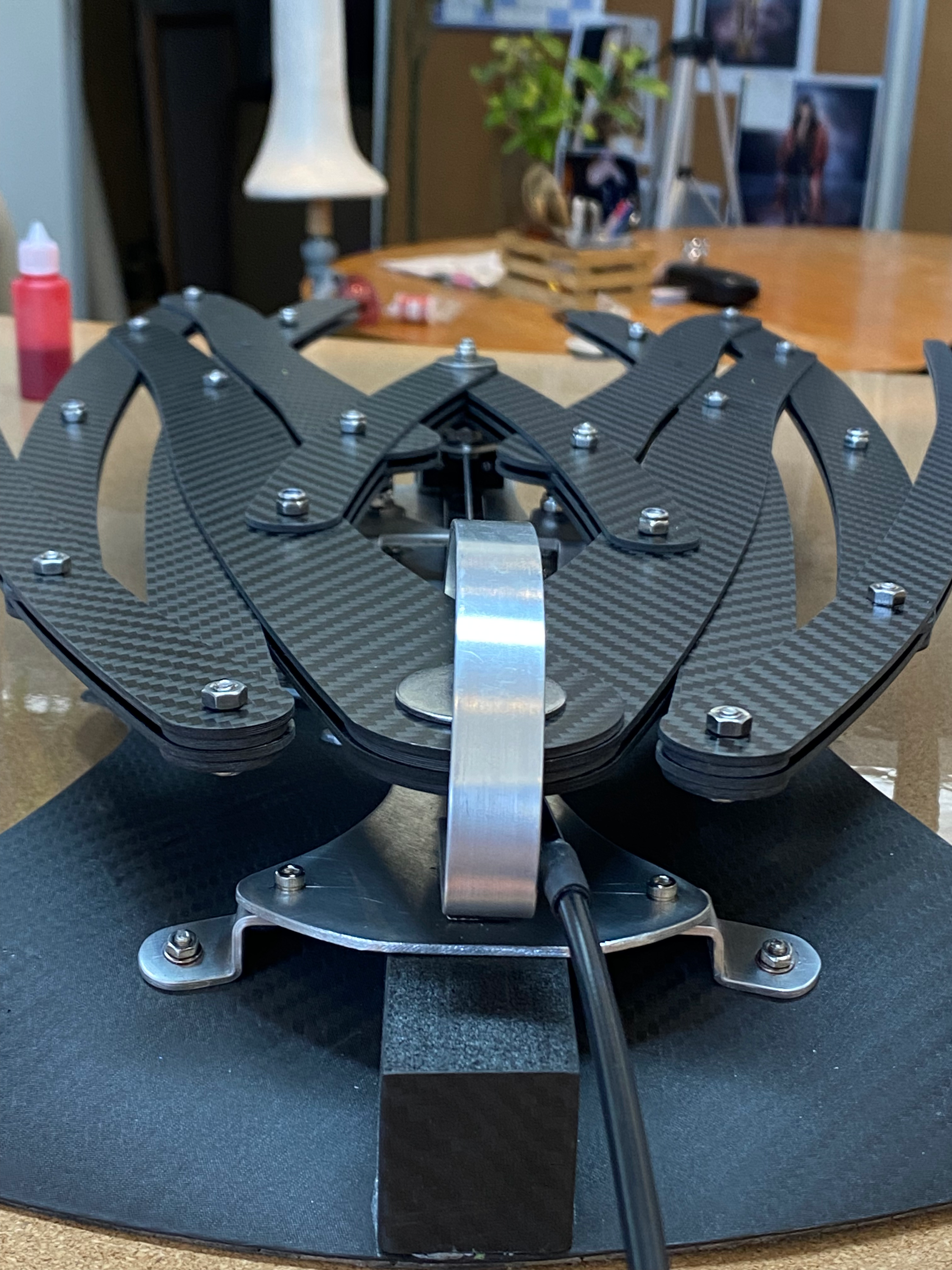 Wicked — Chistery Wings